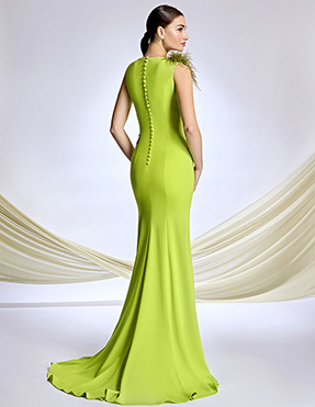 Vestido de fiesta